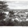 Binenwalde 1950