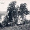 Binenwalde Blick auf dem See 1911
