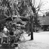 Boltenm&uuml;hle 1968