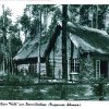 Stendenitz Waldmuseum 1935