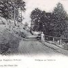 Tornow Waldweg am Tornowsee 1904